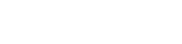 Denios Logo invertiert